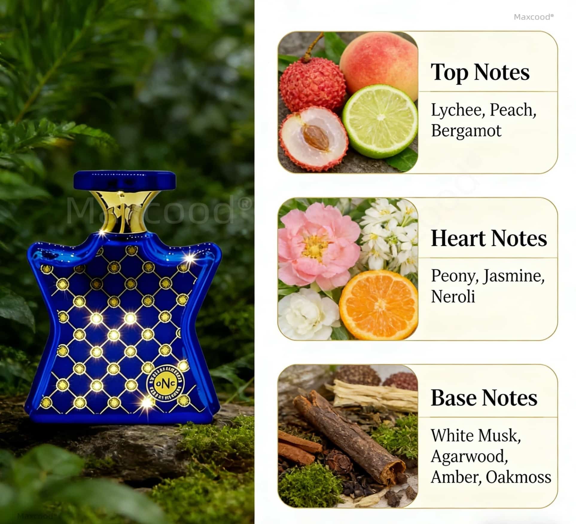Citrus and Floral Perfume Long - Eau De Parfum Women review and price