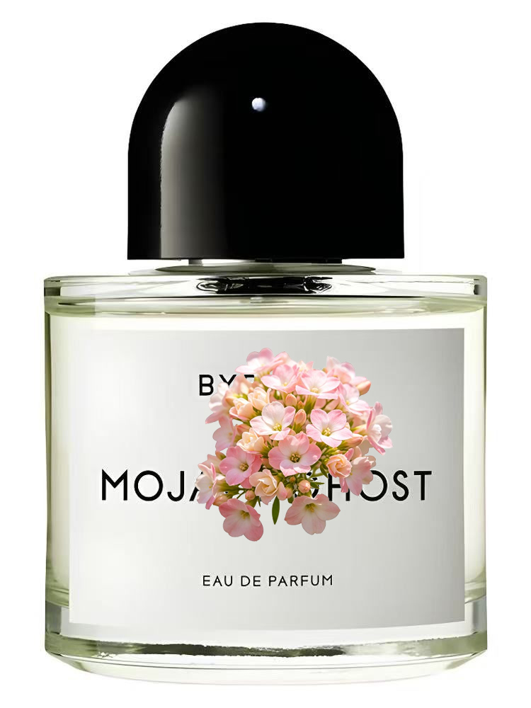 MOJAVE  OUT OF STOCK  Unisex E - Eau De Parfum Women review and price